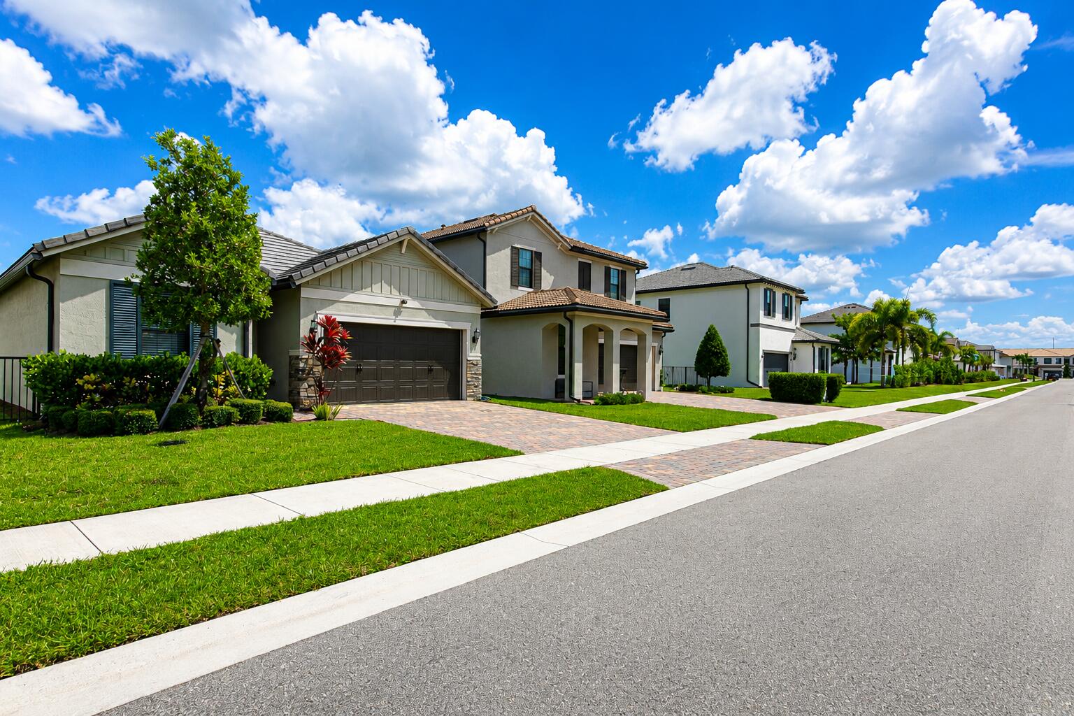 8231 TAILSHOT Court