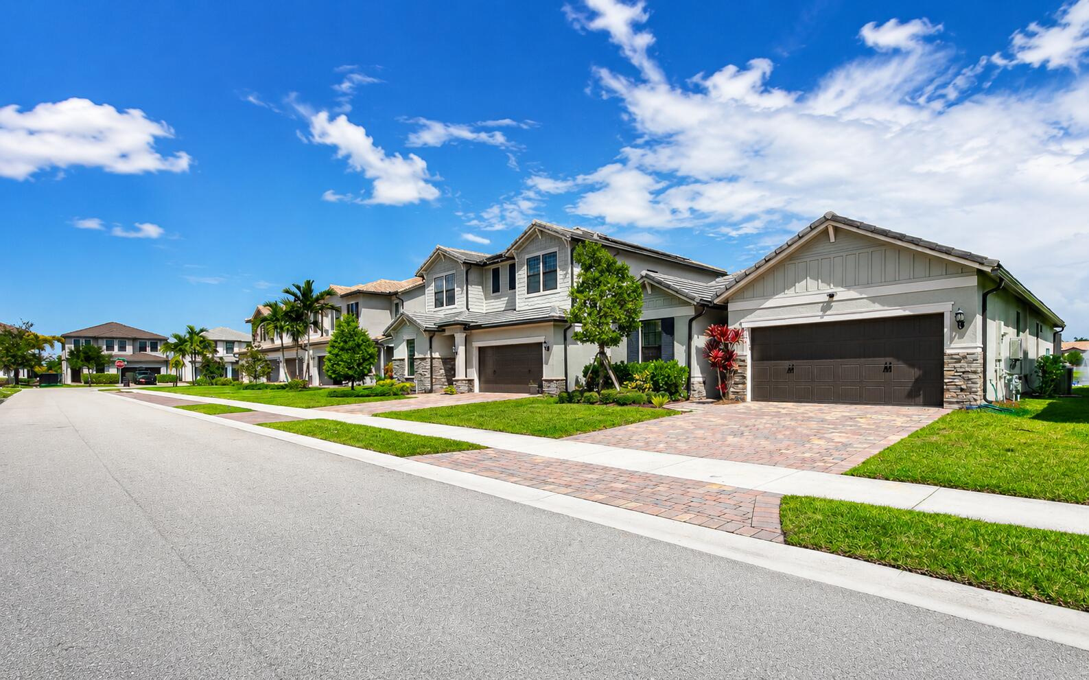 8231 TAILSHOT Court