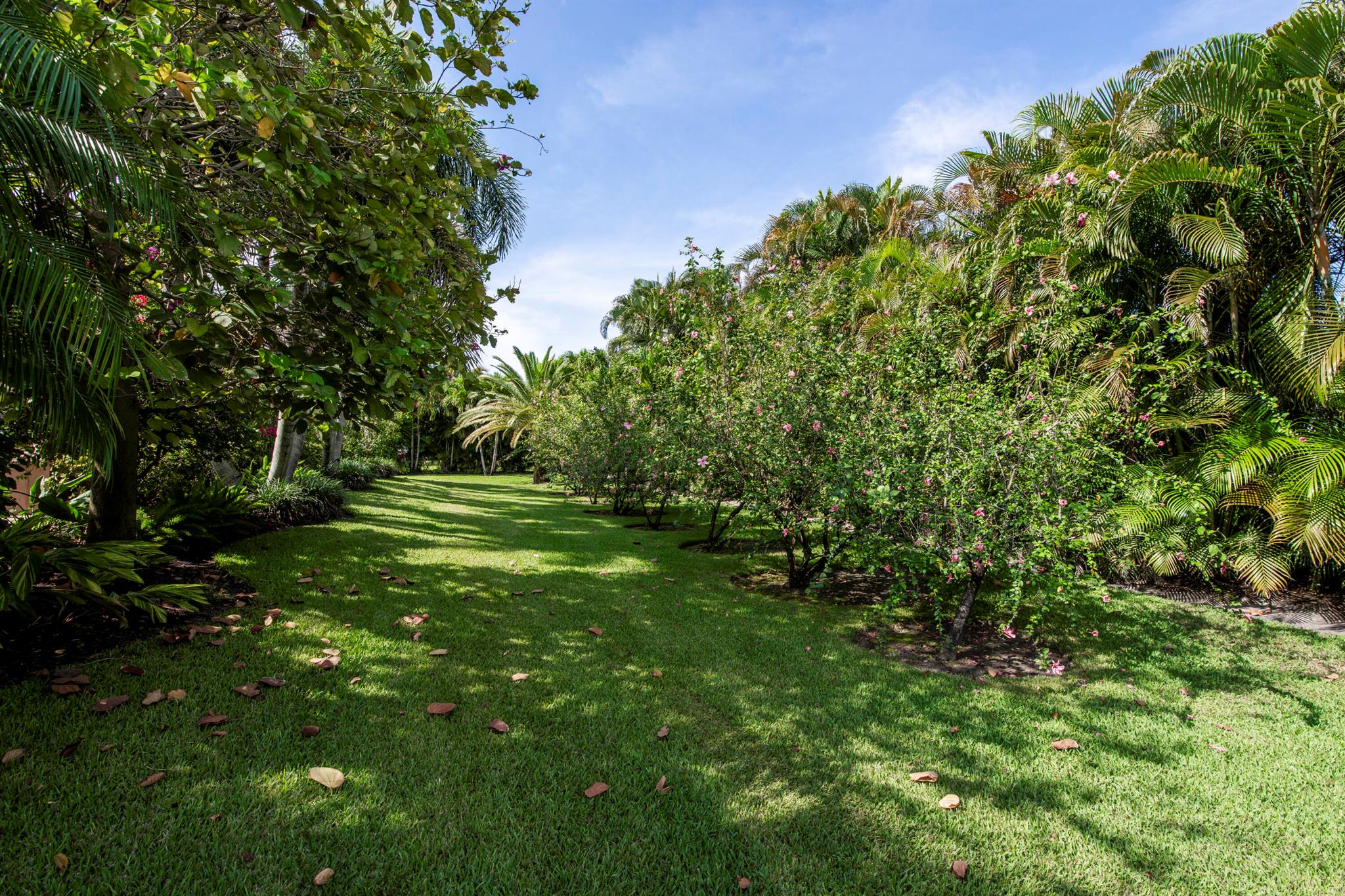 Steeplechase - Residential