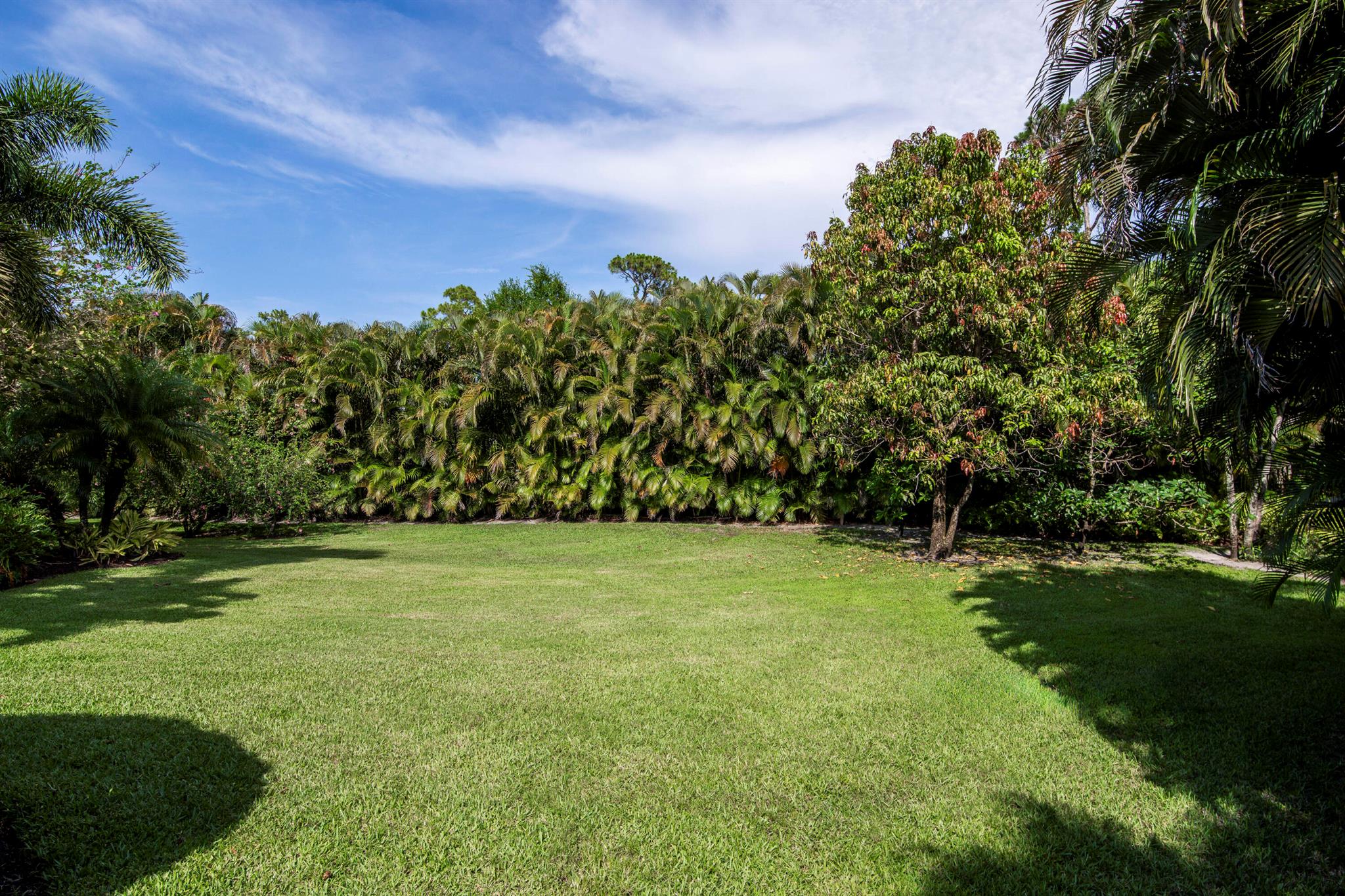 Steeplechase - Residential