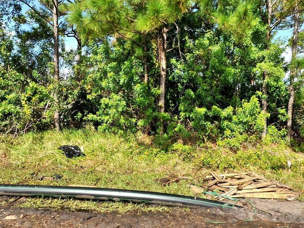 Photo of 2473 SE Melaleuca Boulevard, Port Saint Lucie, FL 34952 (MLS # R10730588)