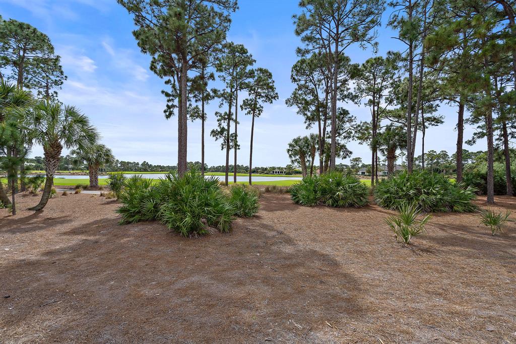 OLD PALM PL - Residential