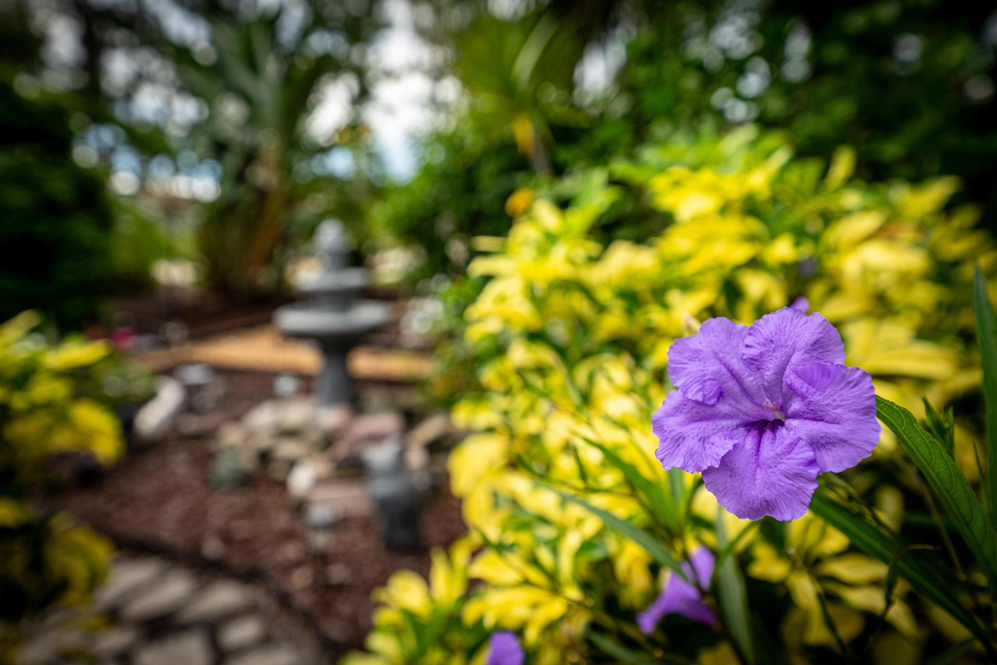 PORT ST LUCIE SECTION 19 - Residential
