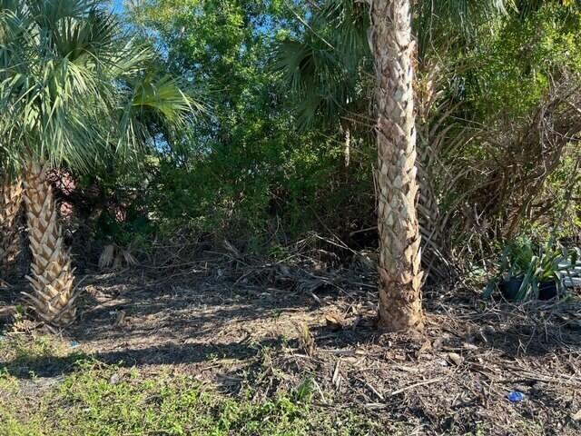 GREAT BUILDING LOT IN PREMIUM LOCATION EAST OF US HWY 1. AMAZING PRICE...among lowest priced standard sized lots in area! Short drive to beaches, City Ctr, hospital & shopping at Jensen Beach mall. Extensive dining options. This is a rare opportunity to own a residential building lot in an already established area in Port St Lucie. East of US1 means closer to the beaches! Lot went through a perimeter (10-feet in from lot property line on all sides clearing project in December ($5,000 expended into this). This lot is the best priced lot in its section.
