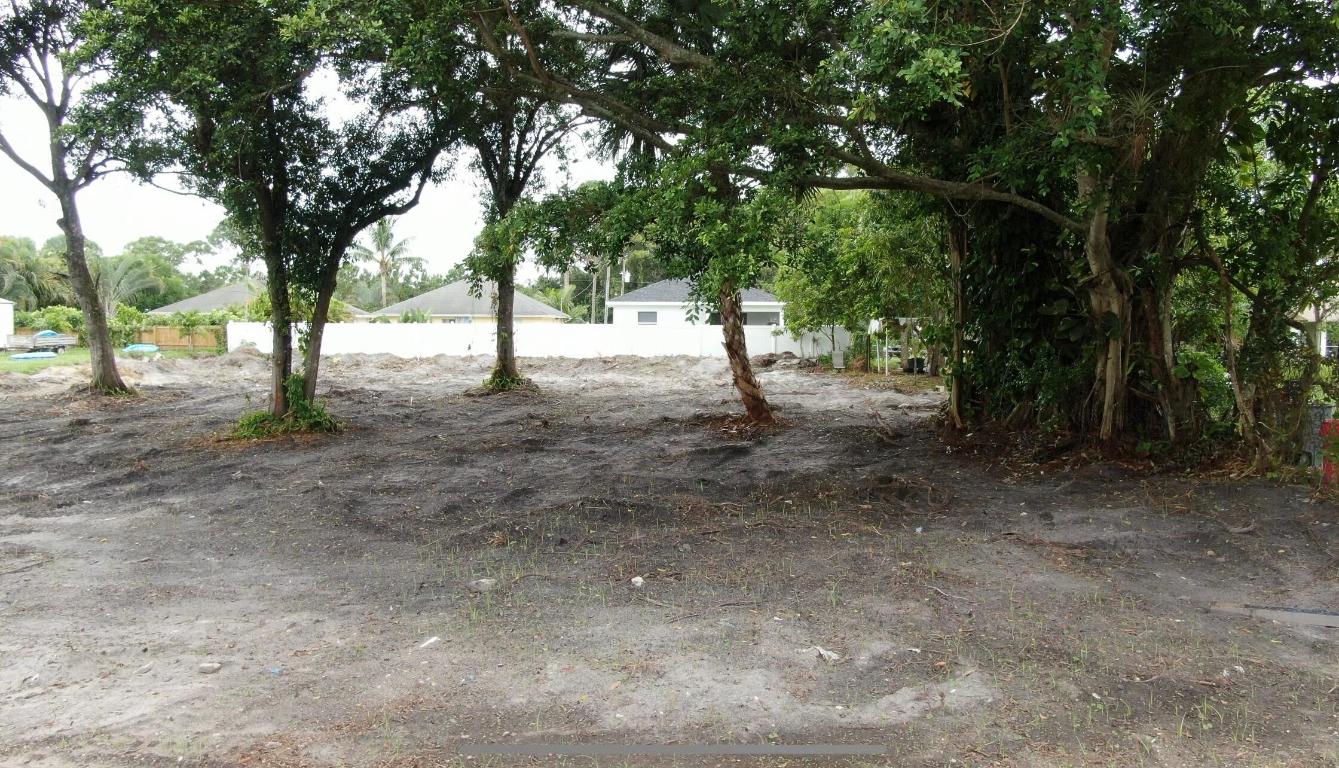 000 Palm Garden Street