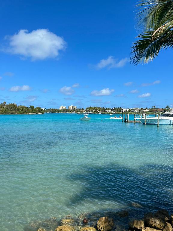 000 Palm Garden Street