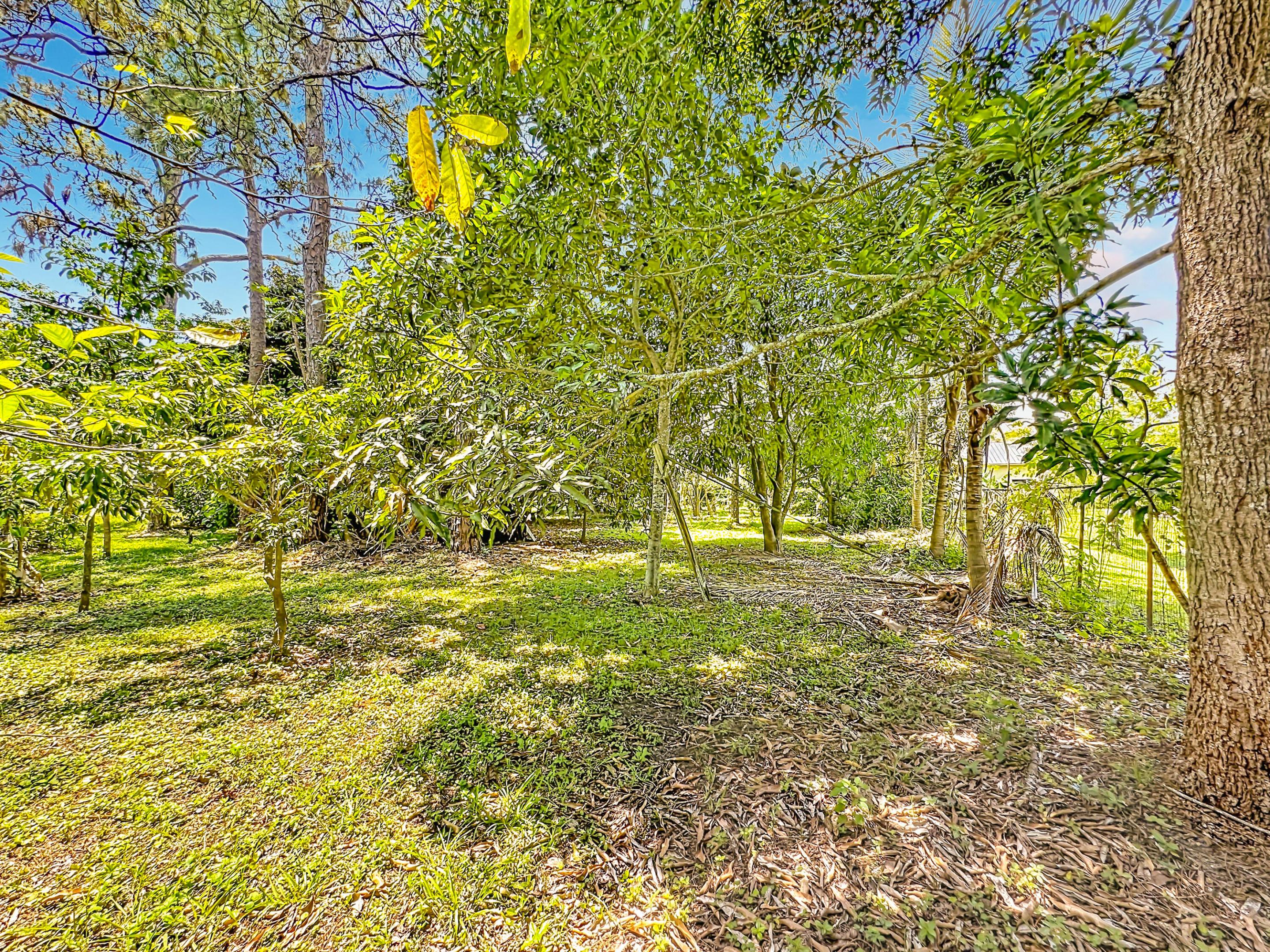 ACREAGE - Residential