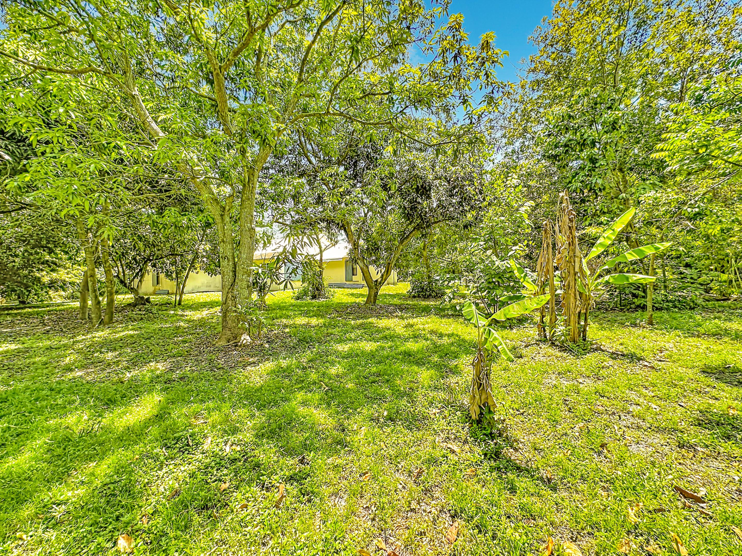ACREAGE - Residential