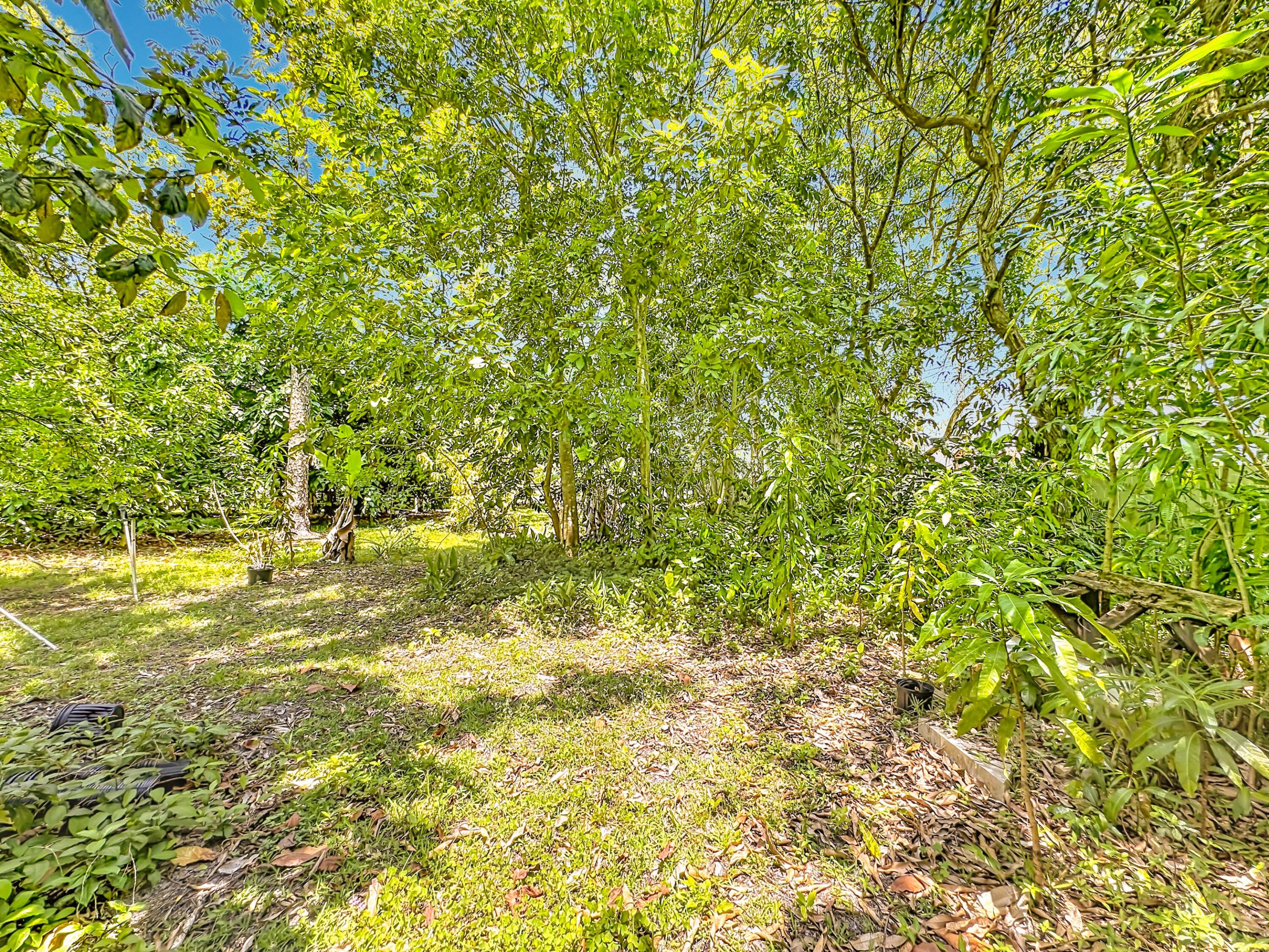 ACREAGE - Residential