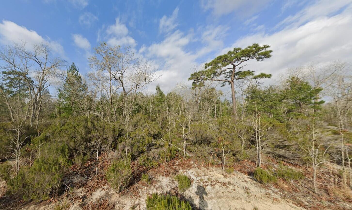 Looking to purchase your dream property in Florida, look no further. This lot is listed below market value! Buying Land in Florida is a solid investment for your future, build your dream home, vacation home, rental investment or let the land build value as a great long-term investment to resell for a future profit. For directional purposes use 109 16th st