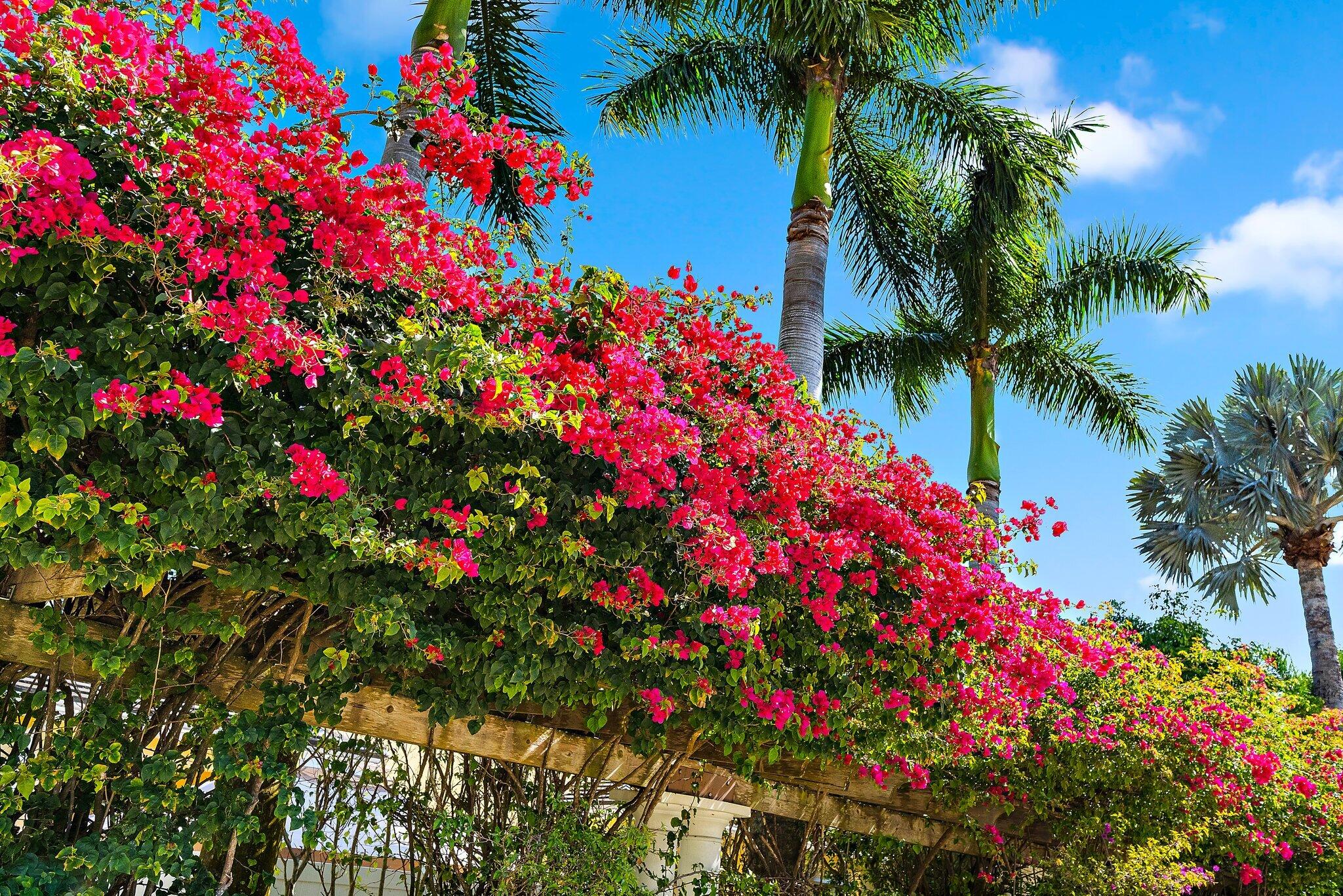 ST ANDREWS - Residential