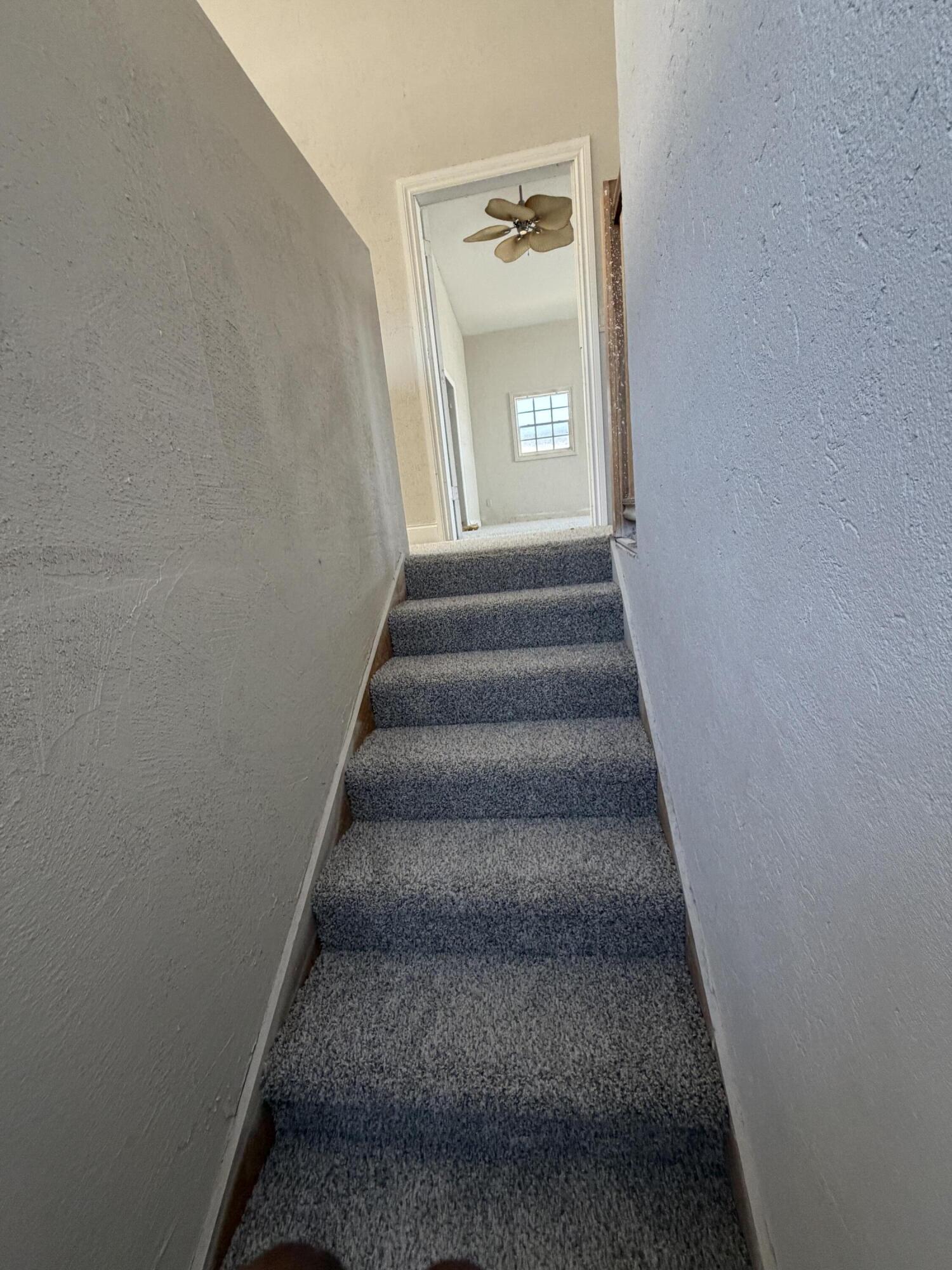 COLLEGE PARK - Residential