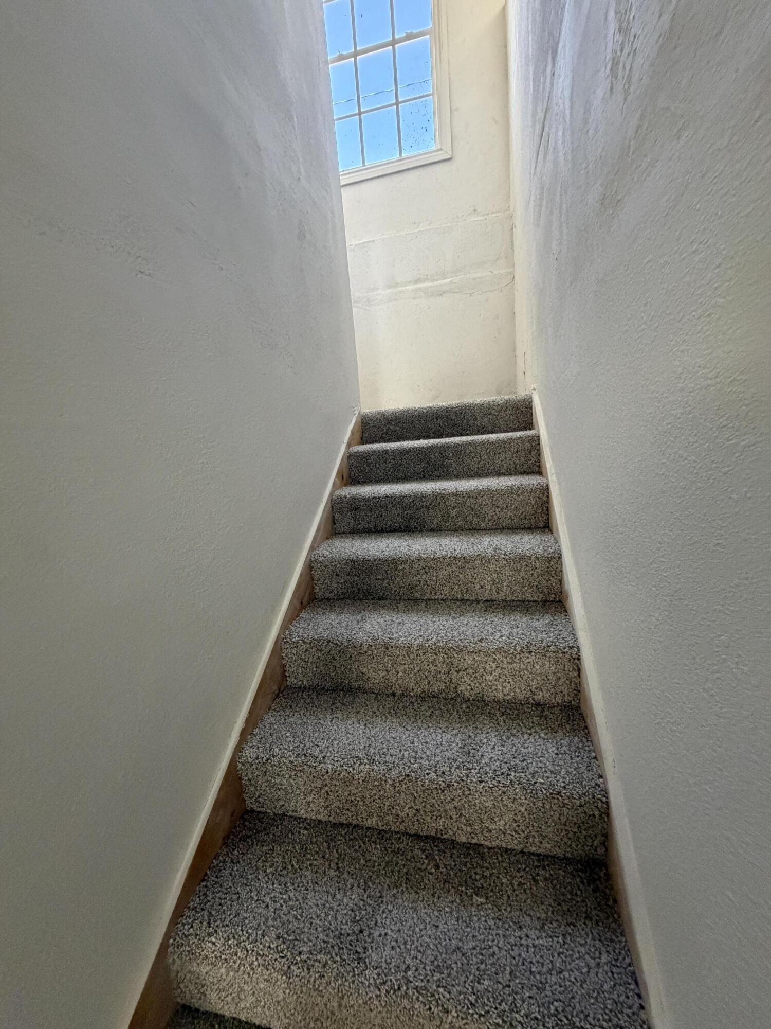 COLLEGE PARK - Residential