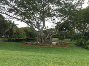 BANYAN SPRINGS ROSE HILL - Residential