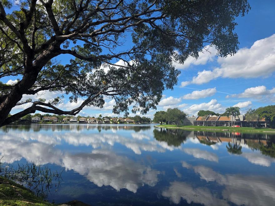 Discover resort-style 55+ living for a retirement lifestyle. This private & spacious 1bd/1.5bth furnished/ turnkey condo with half bath is ready to be your own beautiful home; separate storage unit for your extras; AC only 2 years old, Stackable washer/dryer. Colony Point's residents and guests enjoy a full slate of recreational amenities, including gymnasium, billiards room, pool, tennis & picket ball courts, movies, shows and so much more! Located just moments from shopping, dining, and entertainment, convenient courtesy shuttle.  Nestled within a secure, gated community, this home offers living in a peaceful, welcoming environment.