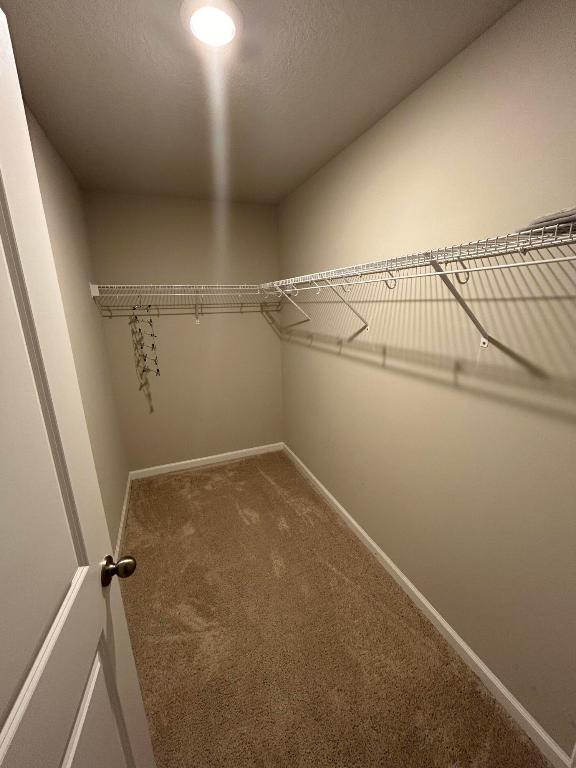 ENCLAVE AT MANGONIA PARK - Residential Lease