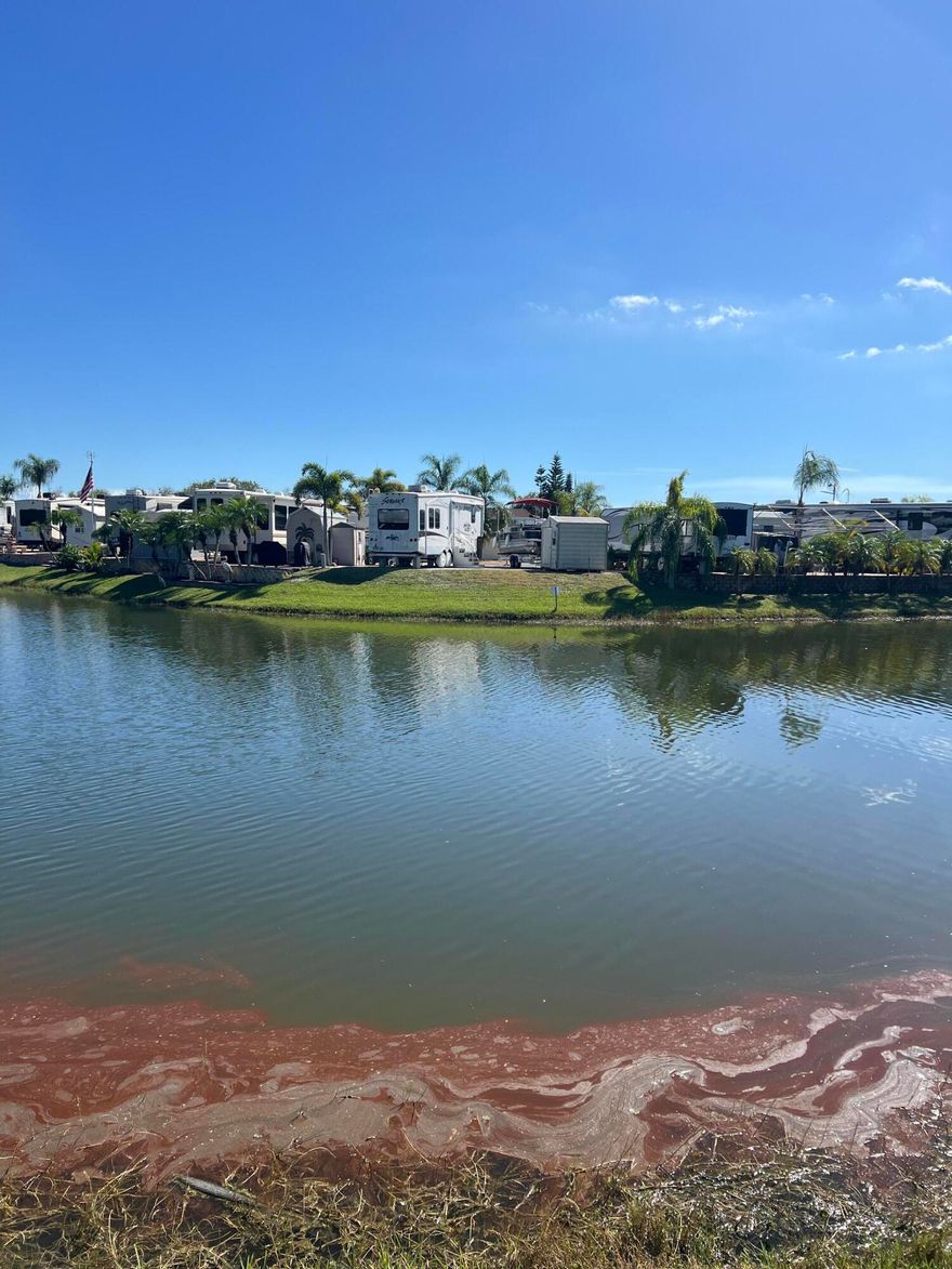 Big O RV Resort- 55+ Gated community located on Lake Okeechobee rim canal. Large lot on Horseshoe Lake. Beautiful Clubhouse w/heated pool. Large recreational clubhouse as well.