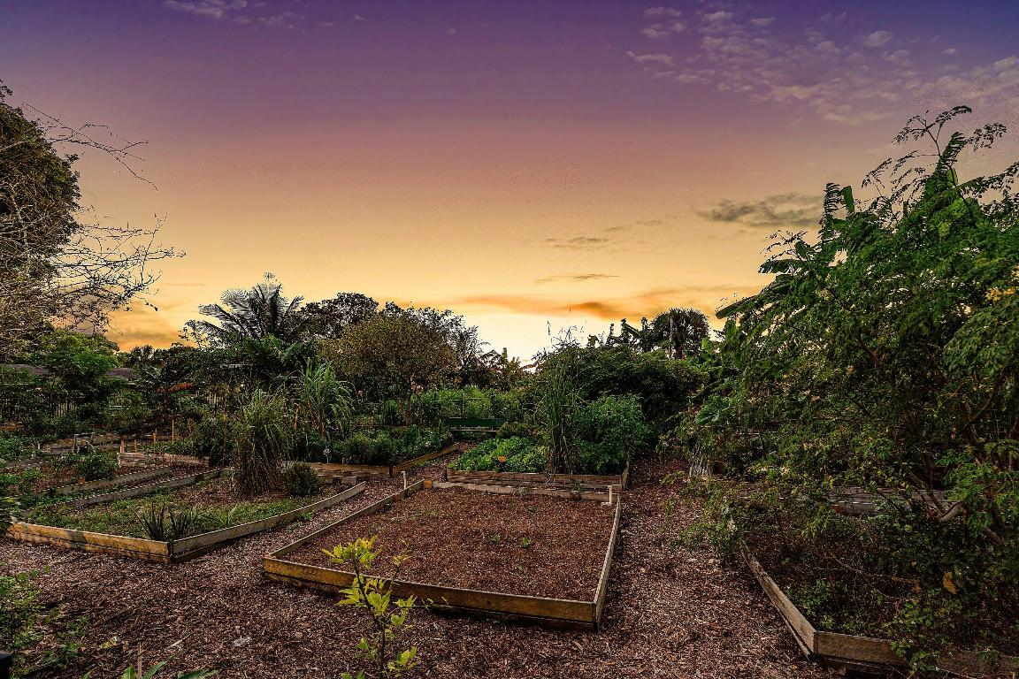PALM TREE - Residential Income