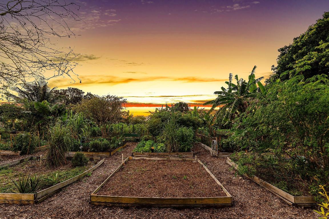 PALM TREE - Residential Income