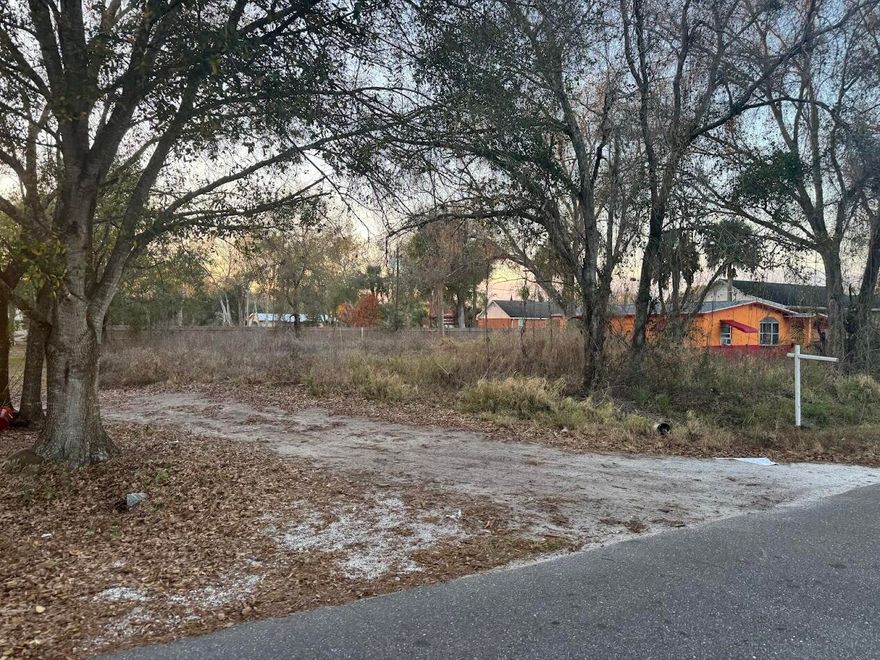 Build your dream home on this spacious lot located in the quiet Basswood community. Enjoy a peaceful setting with plenty of room for a custom residence, outdoor living, or future expansion. No HOA and flexible building options make this property ideal for homeowners or investors alike. Conveniently located with easy access to nearby towns, shopping, and major roadways. Don't miss this opportunity to own land in a growing area of Florida.