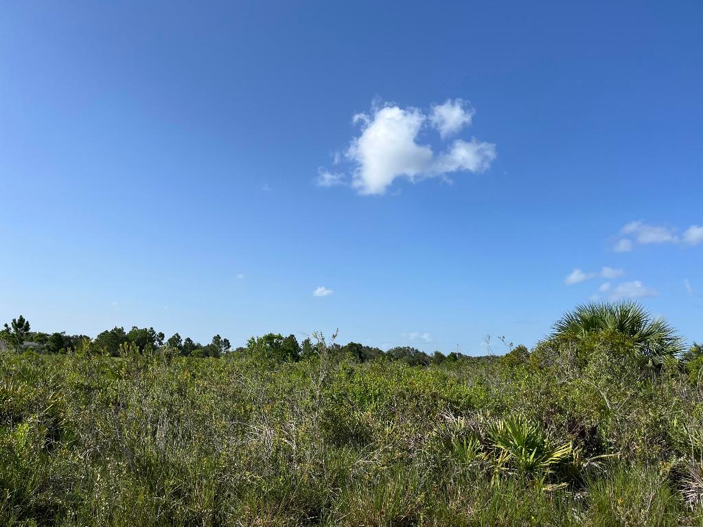 SOUTHERN COLONIZATION CO - Land