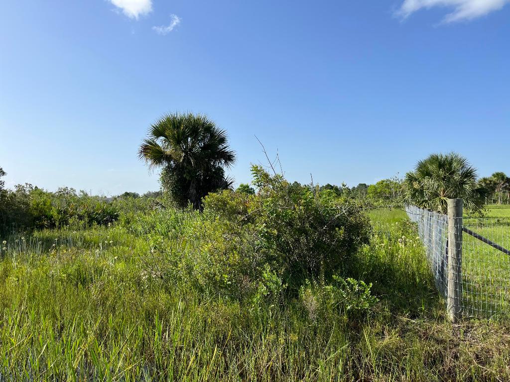 SOUTHERN COLONIZATION CO - Land