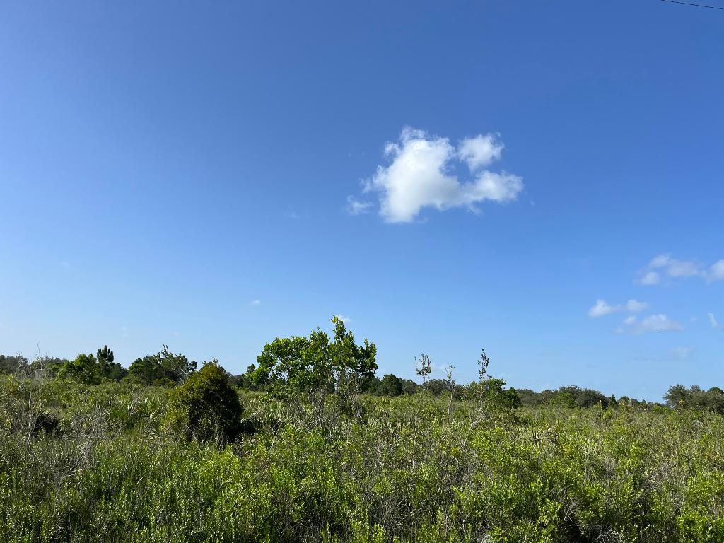 SOUTHERN COLONIZATION CO - Land