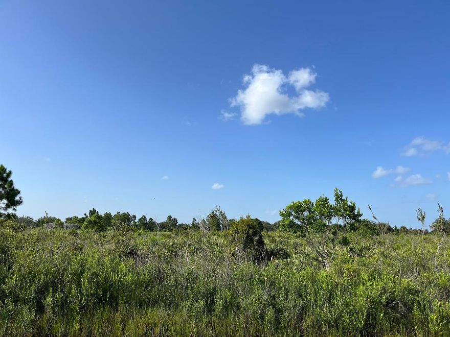 Financing Available! Build or bring your dream home and barn on this beautiful private 1.5 acre lot. There is so much to enjoy in Okeechobee County. The Kissimmee River Preserve State Park West of this area as well is the Kissimmee River. The Kissimmee River flows into Lake Okeechobee and is well known for some of the best fishing. whether you like Fishing, hunting, mudding agriculture or just privacy here you have it all.