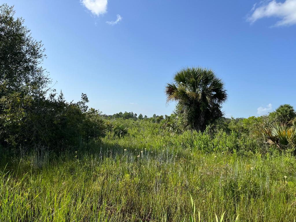 SOUTHERN COLONIZATION CO - Land