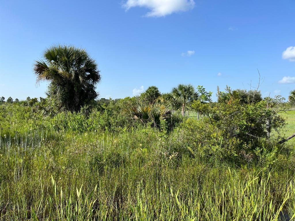 SOUTHERN COLONIZATION CO - Land