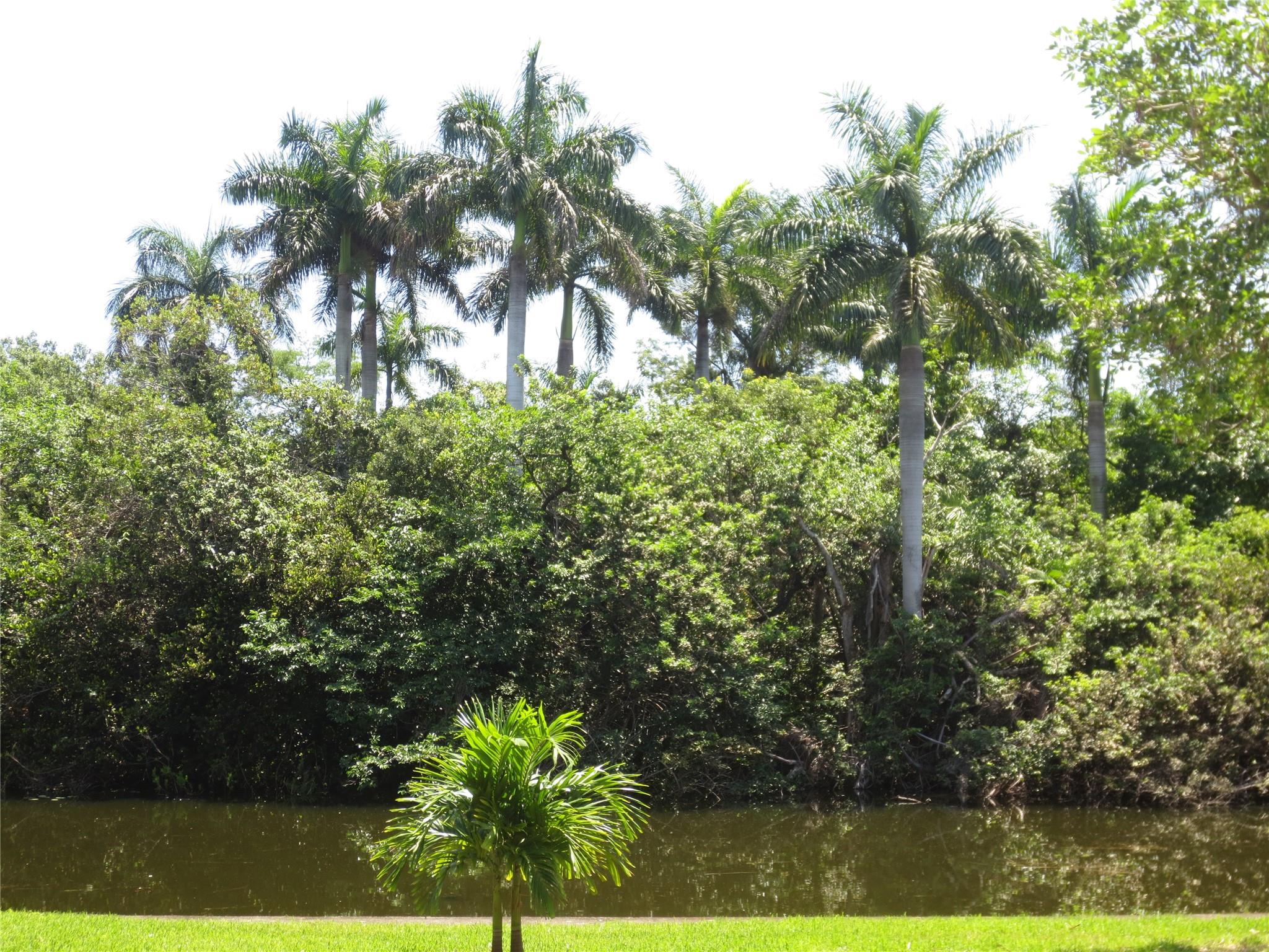 Cristelle - Residential