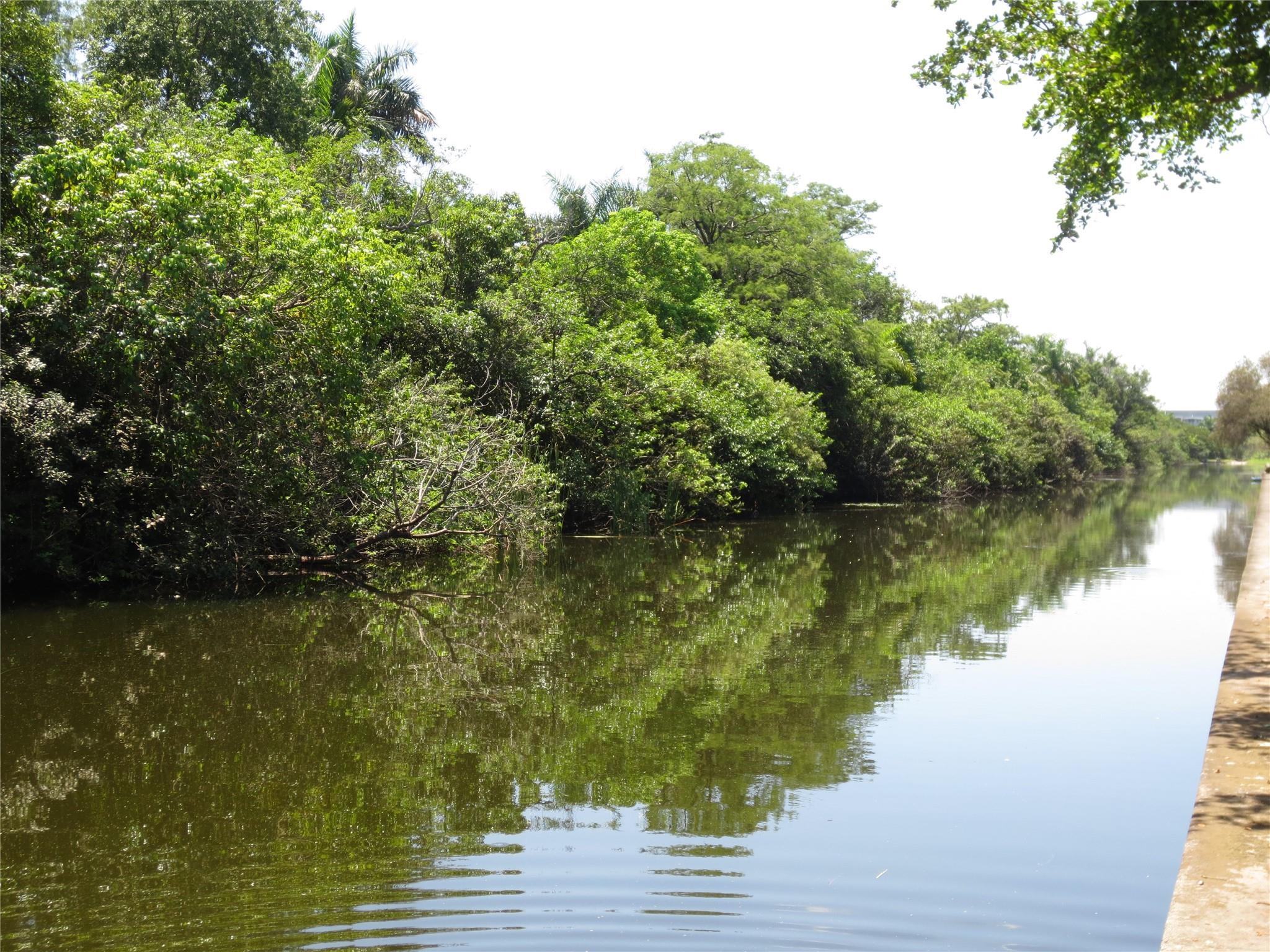 Cristelle - Residential