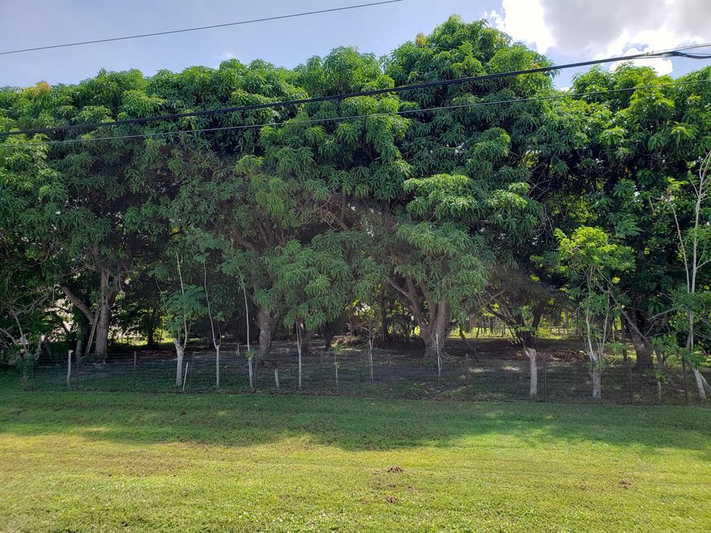 Photo of 29 SE Tiffany Avenue, Port Saint Lucie, FL 34952 (MLS # R10747101)