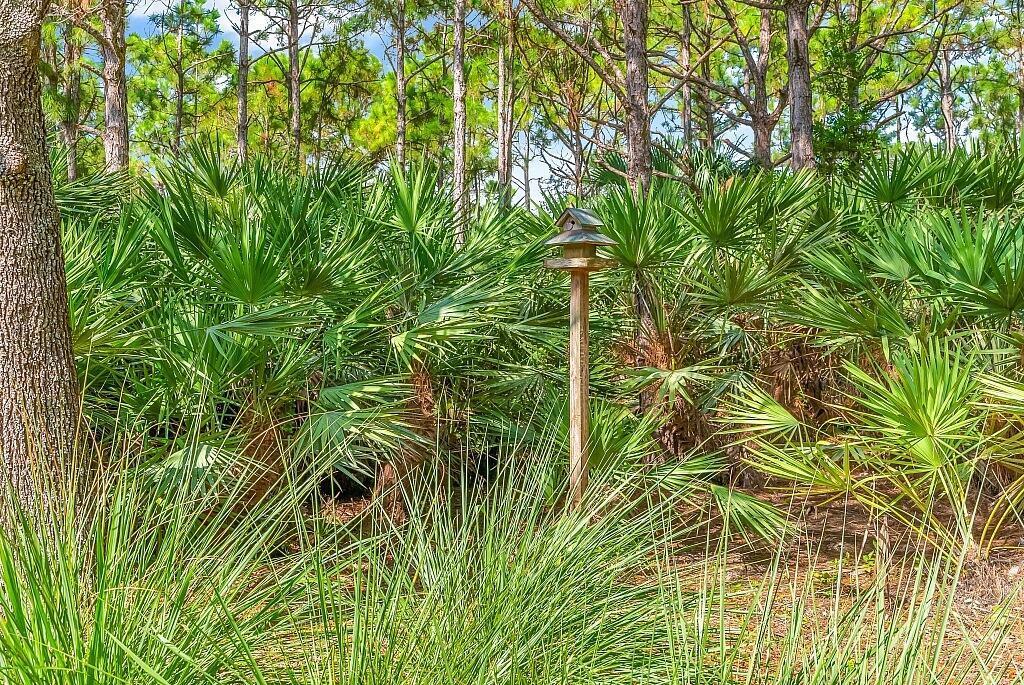 EVERGRENE PCD 4 - Residential