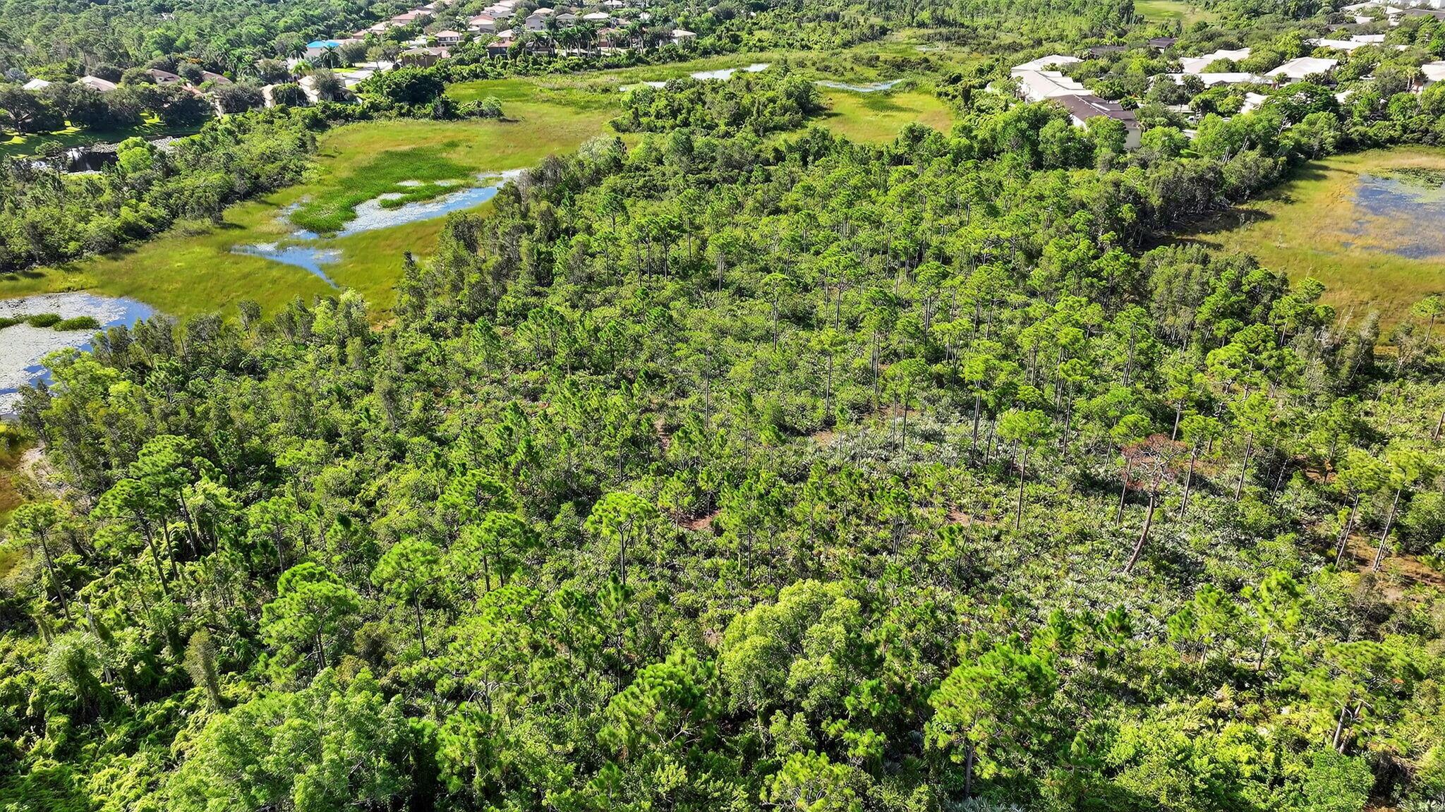 Glades Crossing - Land