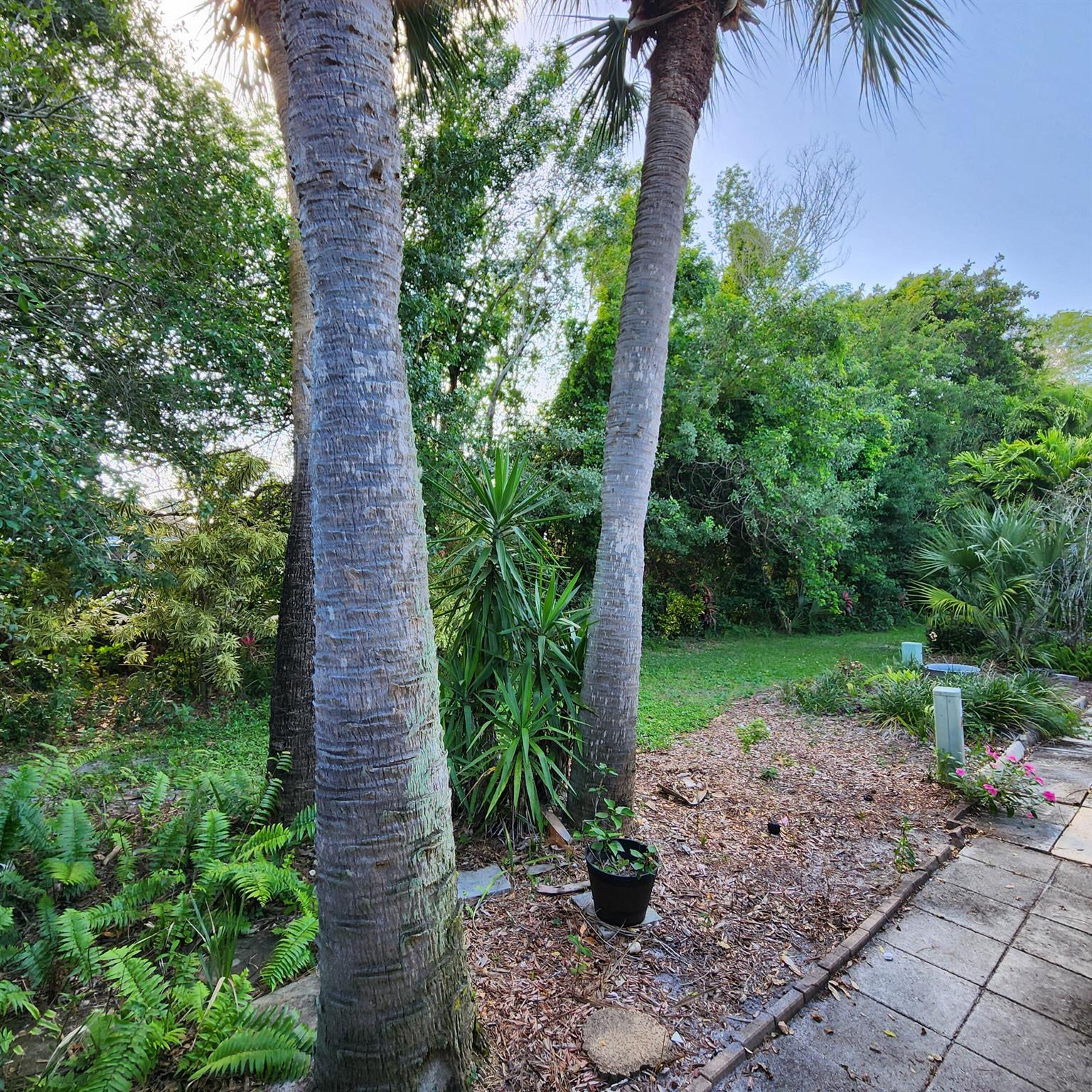 EVERGREEN AT PORT ST LUCIE, A CONDOMINIUM - Residential