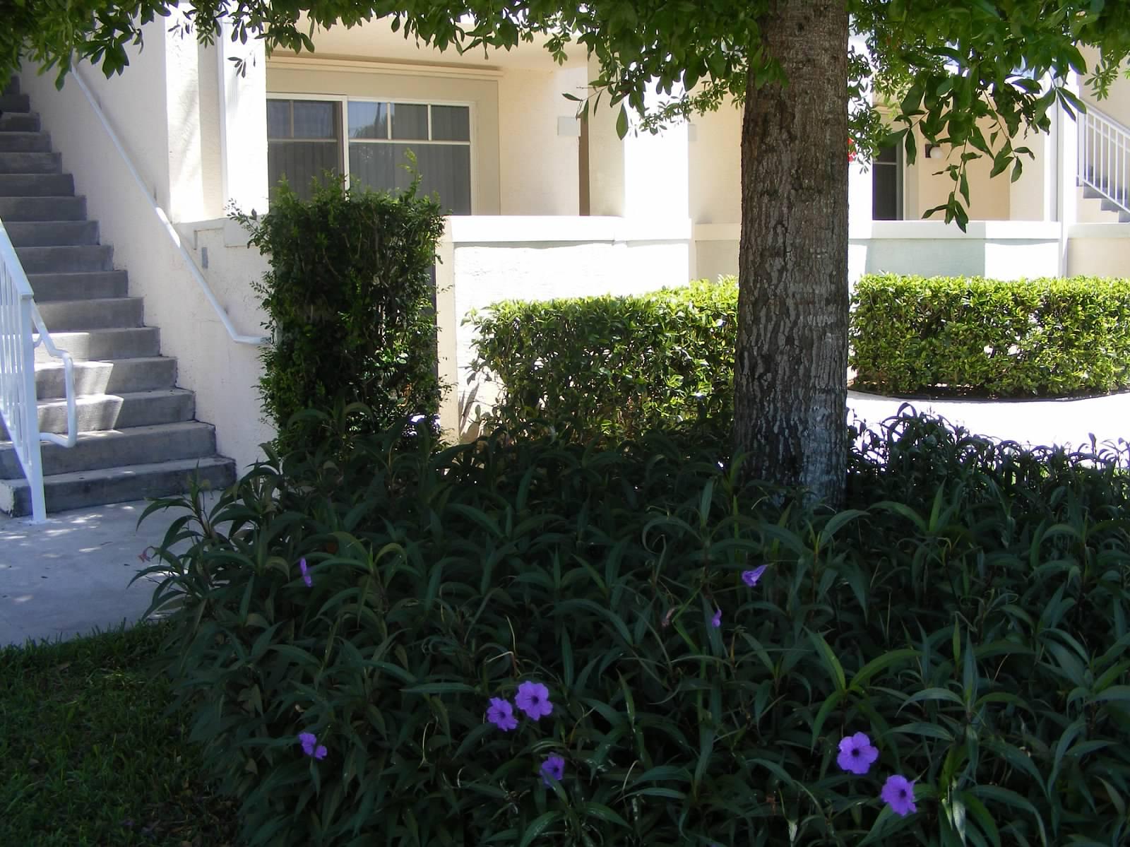 This cozy 1 bedroom, 1 bathroom, first-floor condo is nestled in the heart of Downtown Abacoa. Fully furnished and ready to move in! Two patios, one of which has great views of the Roger Dean Stadium's green fields! Rent includes cable, Wi-Fi, water, sewer and $50/month toward electric! Community pool, hot tub, parks and GYM included! Just walking distance from spectacular shops and restaurants. Available starting April 1st through November. Furnished only.