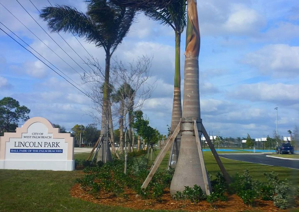 FOXHALL PH 1 - Residential