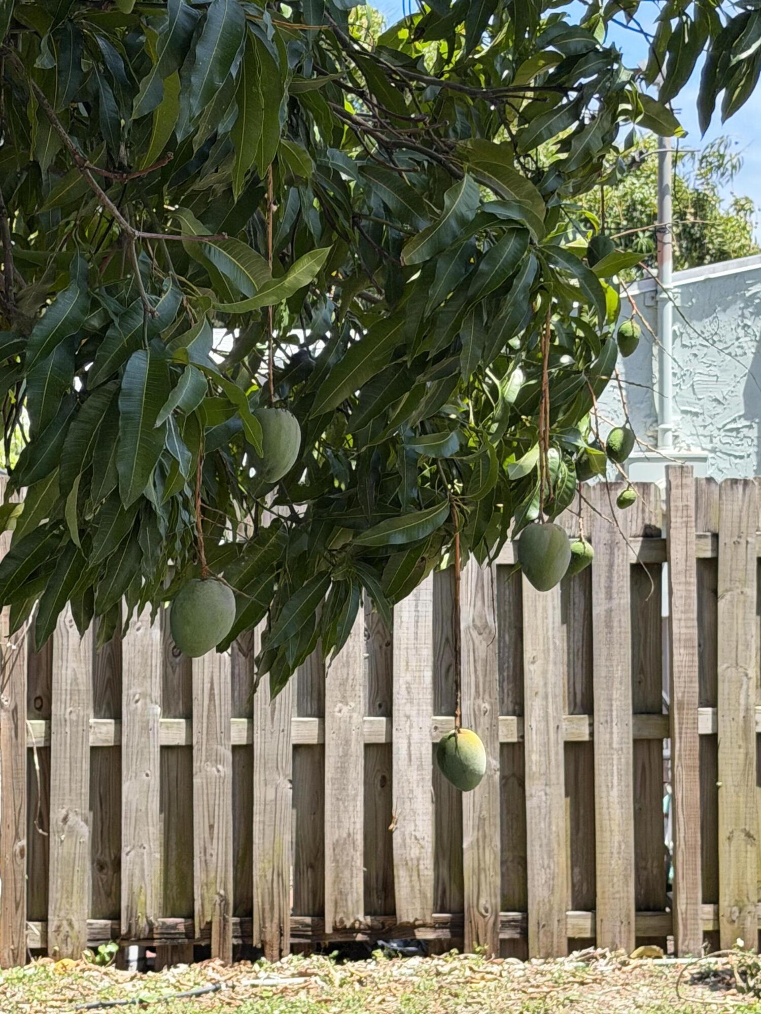 NORTH PALM BCH 2 - Residential