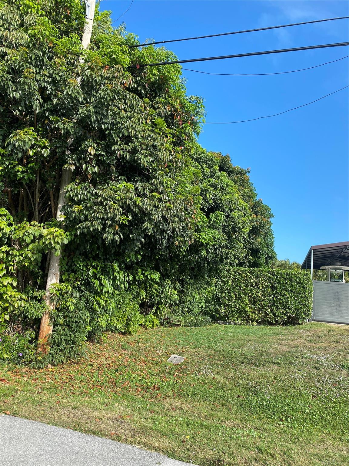 Fla Fruit Lands Co Sub 1 - Land