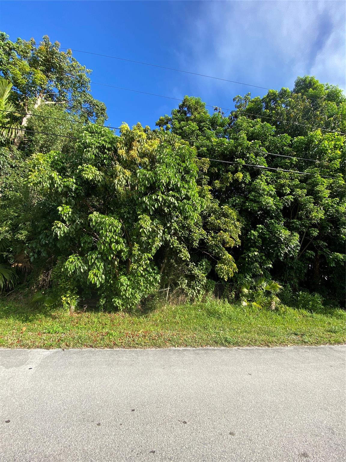 Fla Fruit Lands Co Sub 1 - Land