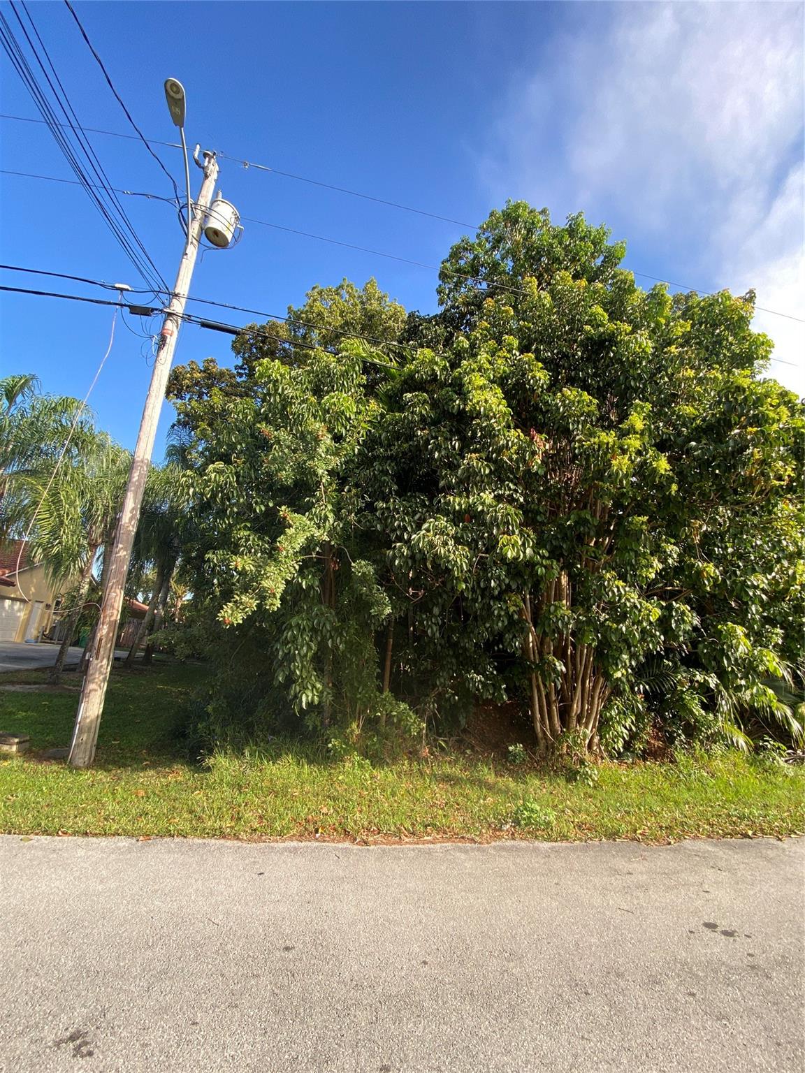 Fla Fruit Lands Co Sub 1 - Land