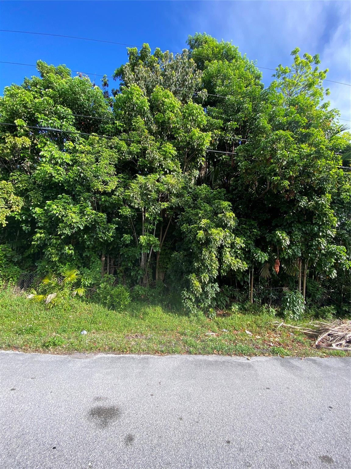 Fla Fruit Lands Co Sub 1 - Land