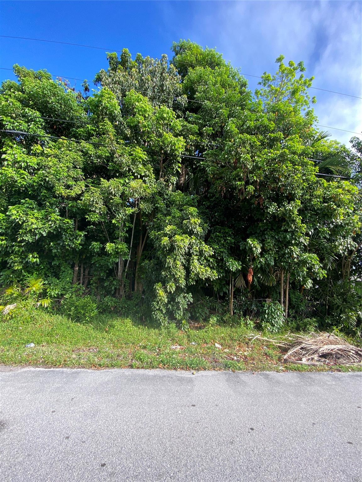 Fla Fruit Lands Co Sub 1 - Land