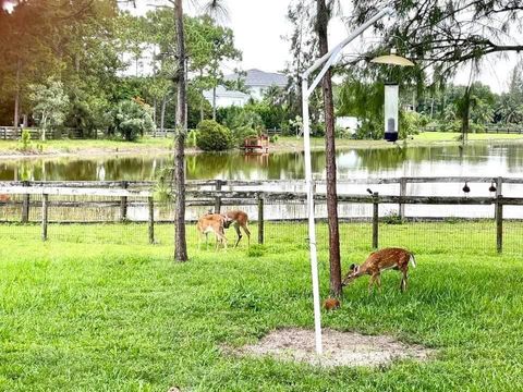 A home in Lake Worth