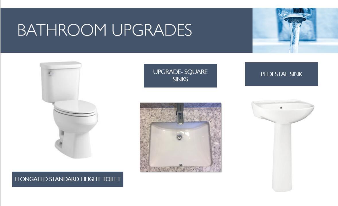 Oak Tree - Residential