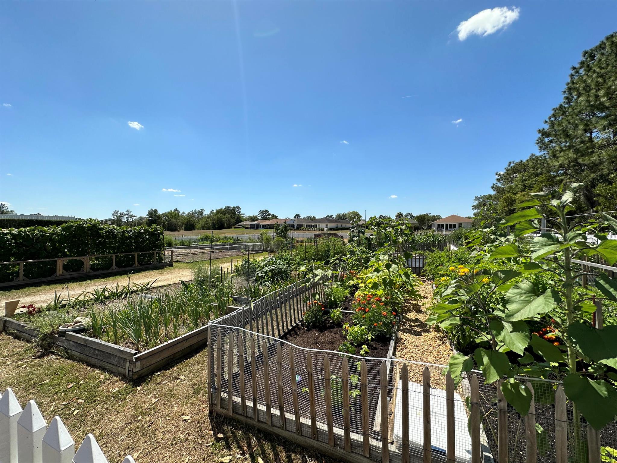 ON TOP OF THE WORLD - PHA - Residential