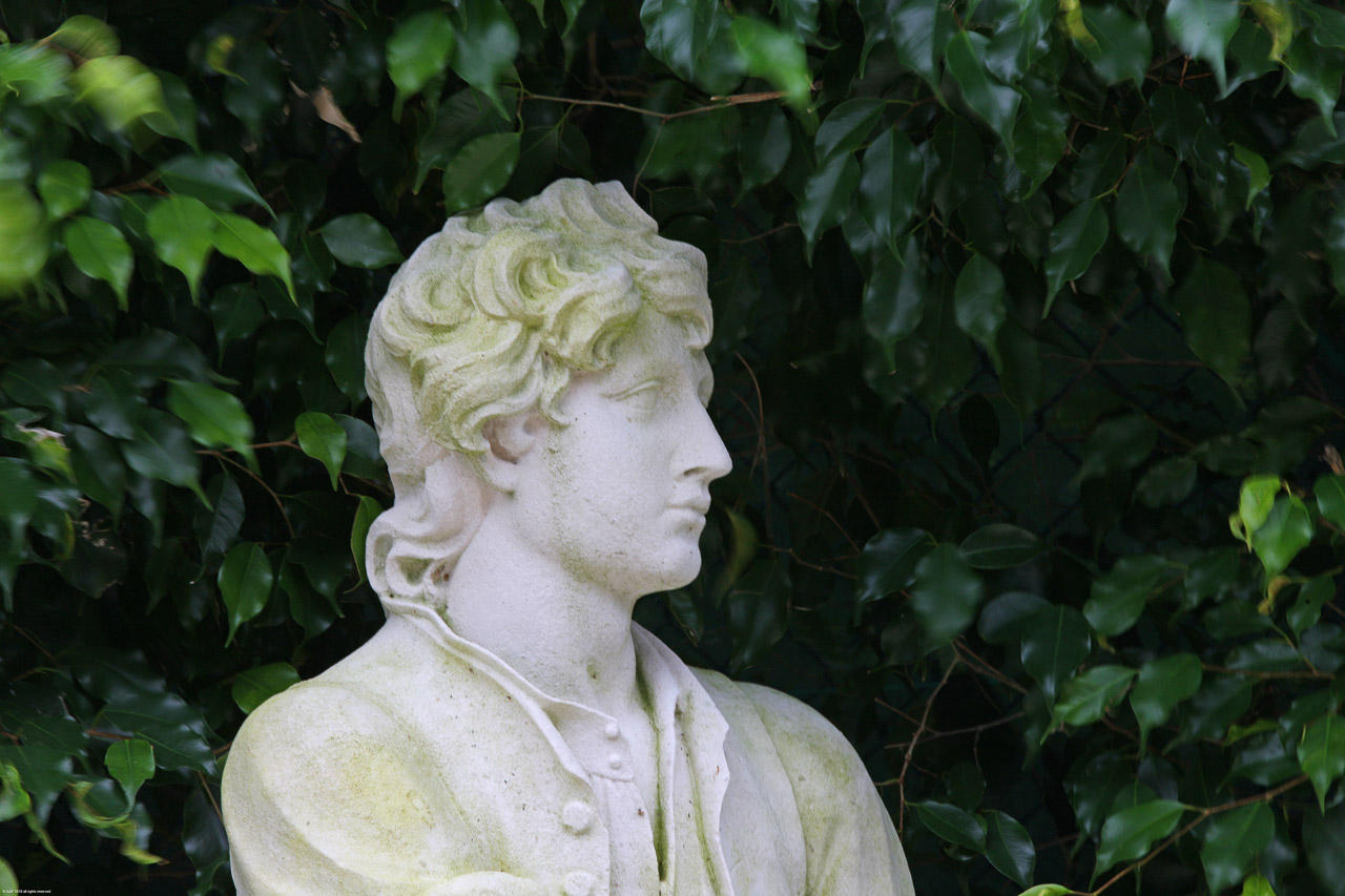 Rafalsky Mark - Residential