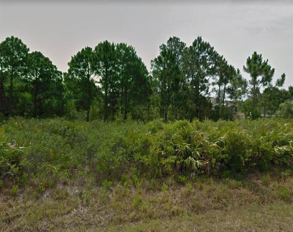 Basswood Estates- Beautiful .35 acre lot lined with tall Pines in homes only community. Adjacent lot next door also available! If purchased together the two lots could be merged to form .70 acre of land. Existing homes on the road are all nicely maintained, new construction home just completed. Located on paved, county maintained road that dead ends into pastureland. No thru traffic. Sidewalk improvements currently being done in the entire community. One of the most aesthetically appealing roads in the neighborhood. These lots are ideal for new home construction! Don't miss out on these gems.