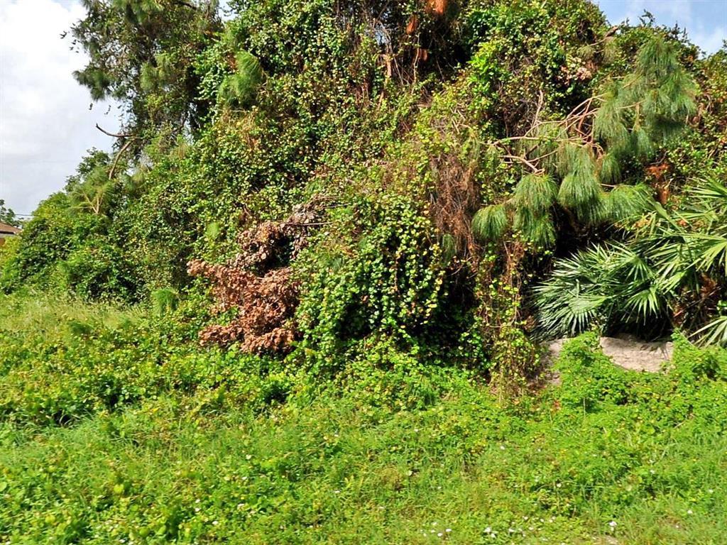 Photo of 737 SW Andrew Road, Port Saint Lucie, FL 34953 (MLS # R10734052)